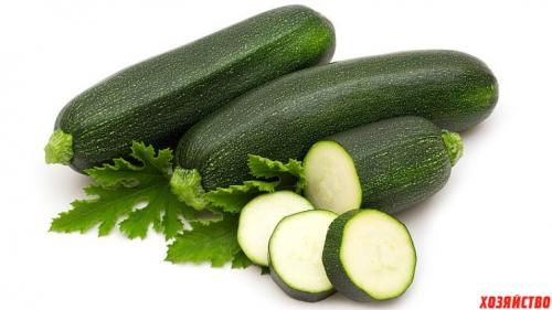 Самые урожайные овощи. Топ-5 урожайных огородных культур