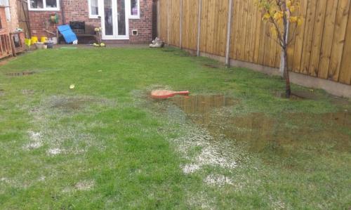 14 растений для влажной почвы. Растения для влажных мест сада 08 14 растений для влажной почвы. Растения для влажных мест сада 08