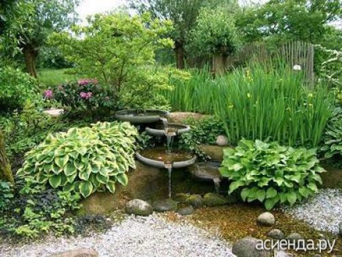 Цветник на влажной почве. Создание цветника