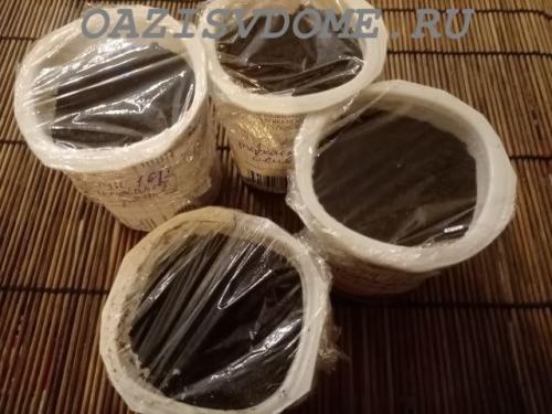 Петуния Суперкаскадная F1. Выращивание крупноцветковой Суперкаскадной петунии F1 из семян пошагово с фото