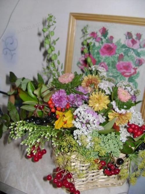 Какие овощи выращивать на даче выгодно. Цветы 06