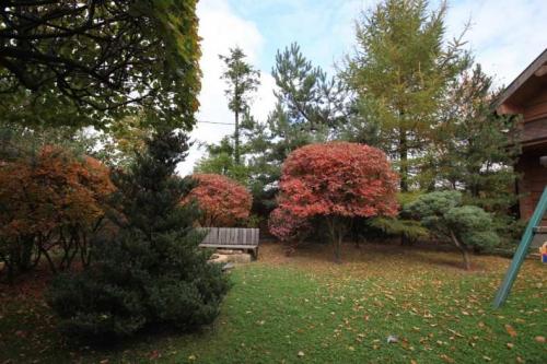 Кустарники: виды и названия. Виды кустарников для дачи