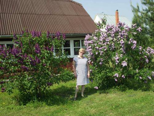 Кустарники: виды и названия. Виды кустарников для дачи