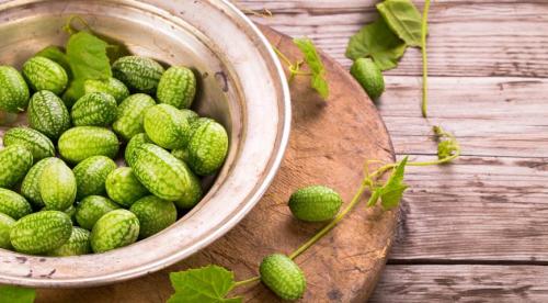 Что посадить на огороде. Кому нужны грядки 02 Что посадить на огороде. Кому нужны грядки 02