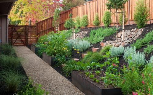 Совместимость овощей на грядке при посадке. Совместимость культур при посадке 01