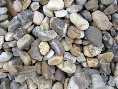 Топ-5 неприхотливых комнатных растений. Топ-5 самых неприхотливых комнатных растений 15 Топ-5 неприхотливых комнатных растений. Топ-5 самых неприхотливых комнатных растений 15