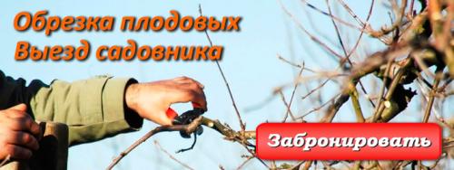 Уход за садом прайс. Прайс-лист 2022 г.