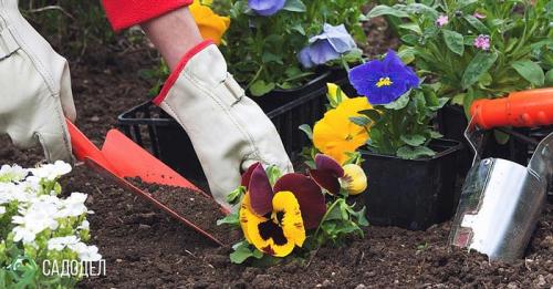 Комплексный уход за садом. Комплексный уход за участком от 3900 рублей за сотку 05 Комплексный уход за садом. Комплексный уход за участком от 3900 рублей за сотку 05