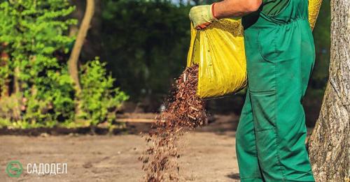 Комплексный уход за садом. Комплексный уход за участком от 3900 рублей за сотку 03 Комплексный уход за садом. Комплексный уход за участком от 3900 рублей за сотку 03