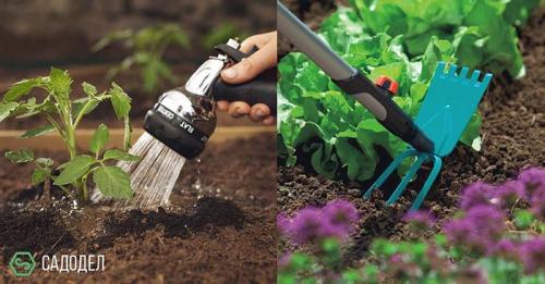 Комплексный уход за садом. Комплексный уход за участком от 3900 рублей за сотку 01 Комплексный уход за садом. Комплексный уход за участком от 3900 рублей за сотку 01