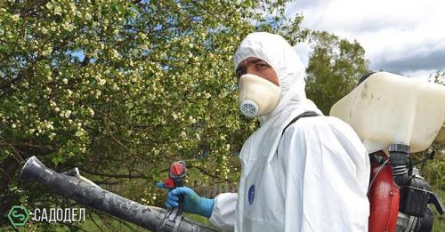 Комплексный уход за садом. Комплексный уход за участком от 3900 рублей за сотку 02 Комплексный уход за садом. Комплексный уход за участком от 3900 рублей за сотку 02