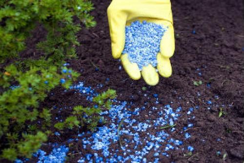 Комплексный уход за садом. Комплексный уход за участком от 3900 рублей за сотку 07