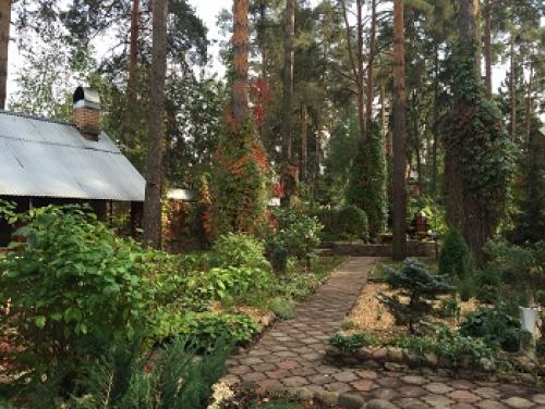 Комплексный уход за садом. Комплексный уход за участком от 3900 рублей за сотку 10 Комплексный уход за садом. Комплексный уход за участком от 3900 рублей за сотку 10