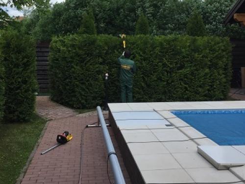 Комплексный уход за садом. Комплексный уход за участком от 3900 рублей за сотку 11 Комплексный уход за садом. Комплексный уход за участком от 3900 рублей за сотку 11