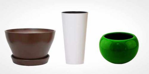 Как подобрать горшок для фикуса. Какое выбрать кашпо для фикуса Бенджамин и других сортов?