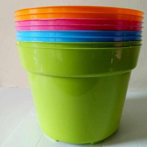 Как подобрать горшок для фикуса. Какое выбрать кашпо для фикуса Бенджамин и других сортов?