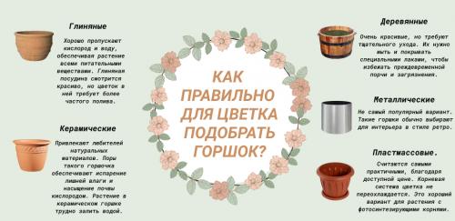 Как выбрать горшки для комнатных растений. Основные критерии подбора горшков 01 Как выбрать горшки для комнатных растений. Основные критерии подбора горшков 01