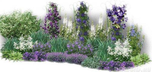 Что нужно клумбам для пышного цветения. Подкормка цветочных культур в июне 12 Что нужно клумбам для пышного цветения. Подкормка цветочных культур в июне 12