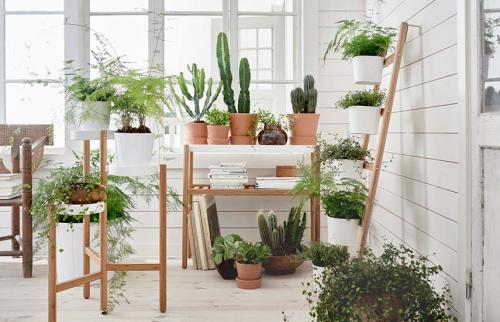 Как ухаживать за цветами в горшках. 7 золотых правил ухода за комнатными растениями