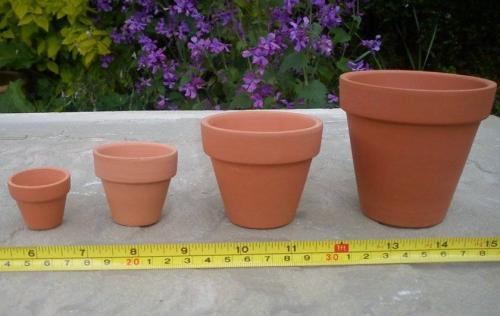 Для каких комнатных цветов нужен большой горшок. Как подобрать большой горшок для цветка?