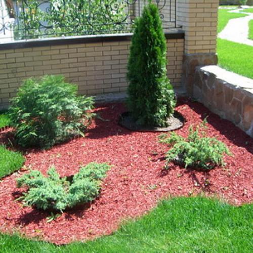 Уход за садовыми цветами и растениями. Как ухаживать за растениями в саду и огороде: мульчирование почвы 04