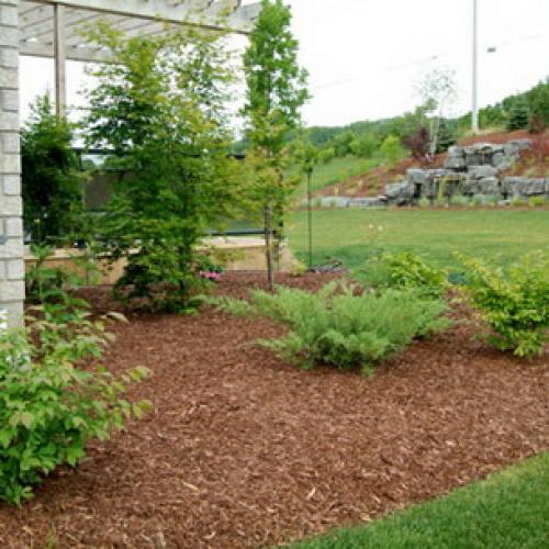 Уход за садовыми цветами и растениями. Как ухаживать за растениями в саду и огороде: мульчирование почвы 05 Уход за садовыми цветами и растениями. Как ухаживать за растениями в саду и огороде: мульчирование почвы 05