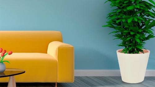 Размеры горшков для цветов. Как правильно выбрать горшок для комнатных растений?