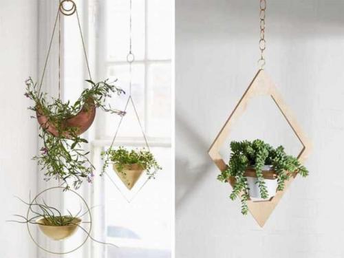 Цветочные горшки в интерьере. Виды цветочных горшков