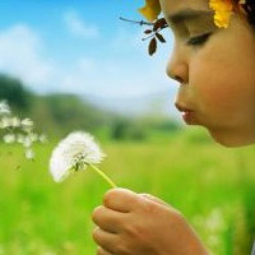 Уход за комнатными цветами и выращивание растений. Особенности ухода за комнатными растениями: приемы полива (с фото и видео) 05 Уход за комнатными цветами и выращивание растений. Особенности ухода за комнатными растениями: приемы полива (с фото и видео) 05