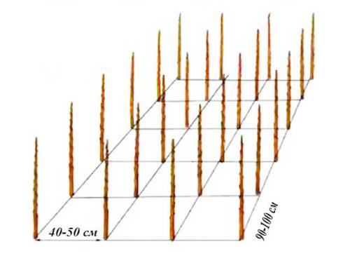 Планировка фруктового сада. Схема сада плодовых деревьев