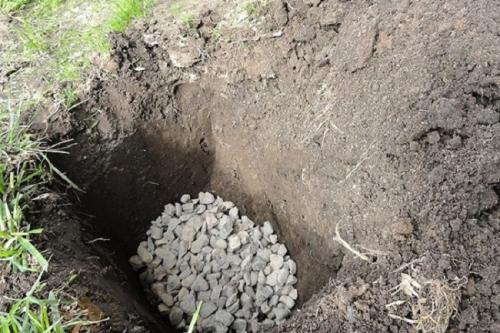 Как разбить сад на 10 сотках. С чего начать (выбор места, состав почвы)