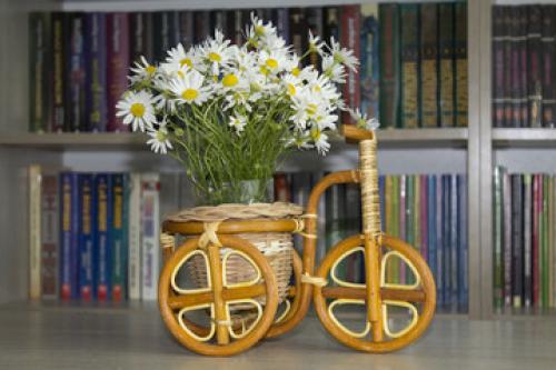 Виды горшков для комнатных растений. Какой горшок лучше выбрать для комнатных растений