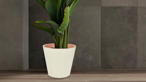 Размеры горшков для цветов. Как правильно выбрать горшок для комнатных растений?