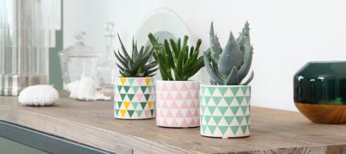 Виды горшков для комнатных растений. Какой горшок лучше выбрать для комнатных растений