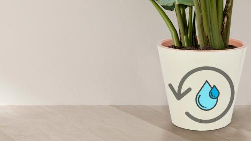 Размеры горшков для цветов. Как правильно выбрать горшок для комнатных растений?