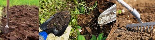 Выращивание овощей на огороде. Выращивание овощей в открытом грунте 01