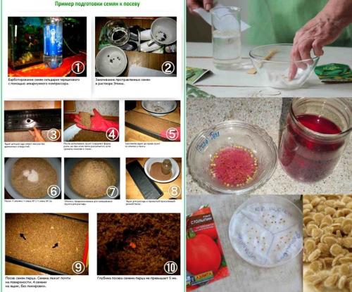 Выращивание овощей на огороде. Выращивание овощей в открытом грунте 02