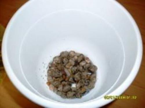 Как подобрать большой горшок для цветка. Формы 03 Как подобрать большой горшок для цветка. Формы 03