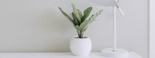 Как подобрать большой горшок для цветка. Формы 09 Как подобрать большой горшок для цветка. Формы 09