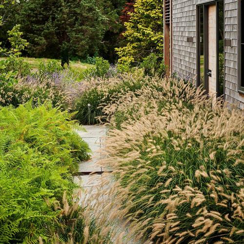 Многолетние цветы для дачи. Добавление статьи в новую подборку 18