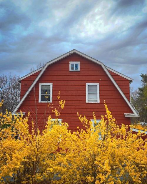 Многолетние цветы для дачи. Добавление статьи в новую подборку 14