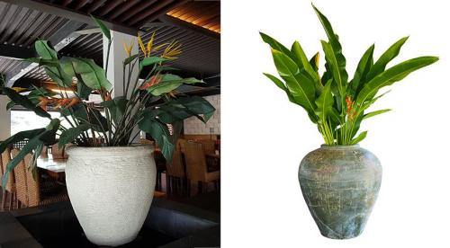 20 неприхотливых комнатных цветов. Красивые и неприхотливые домашние цветы 20 20 неприхотливых комнатных цветов. Красивые и неприхотливые домашние цветы 20