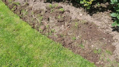 6 шагов к красивому цветнику. Добавление статьи в новую подборку 05 6 шагов к красивому цветнику. Добавление статьи в новую подборку 05