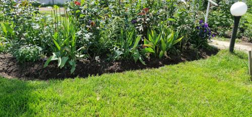 6 шагов к красивому цветнику. Добавление статьи в новую подборку 06 6 шагов к красивому цветнику. Добавление статьи в новую подборку 06