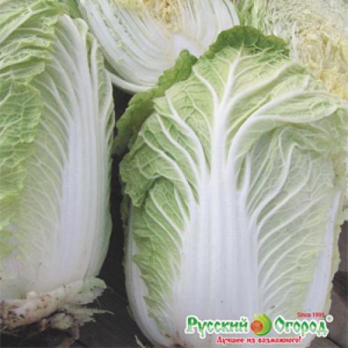 Топ-10 овощей для начинающих садоводов. Самые неприхотливые овощи для дачи: что легко вырастить даже новичку 08 Топ-10 овощей для начинающих садоводов. Самые неприхотливые овощи для дачи: что легко вырастить даже новичку 08