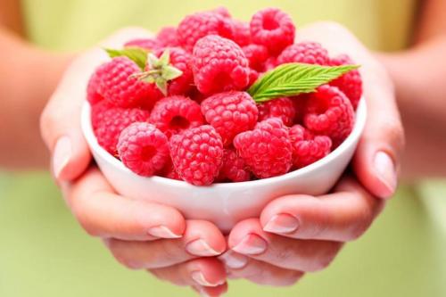 Самая неприхотливая культура. Самые неприхотливые растения для дачи и сада