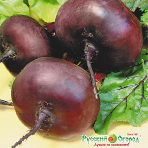 Топ-10 овощей для начинающих садоводов. Самые неприхотливые овощи для дачи: что легко вырастить даже новичку 11 Топ-10 овощей для начинающих садоводов. Самые неприхотливые овощи для дачи: что легко вырастить даже новичку 11