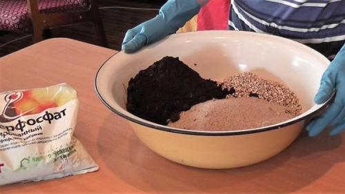 Как правильно посадить петунии в горшок. Корзины и кашпо с петуниями: сажаем правильно