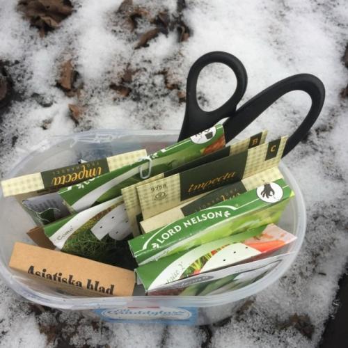 Когда сажать овощи на огороде. Температура почвы — главный показатель начала посевной