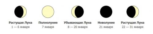 Когда сажать рассаду 2023. Лунный посевной календарь садоводов и огородников на 2023 год с основными рекомендациями по месяцам